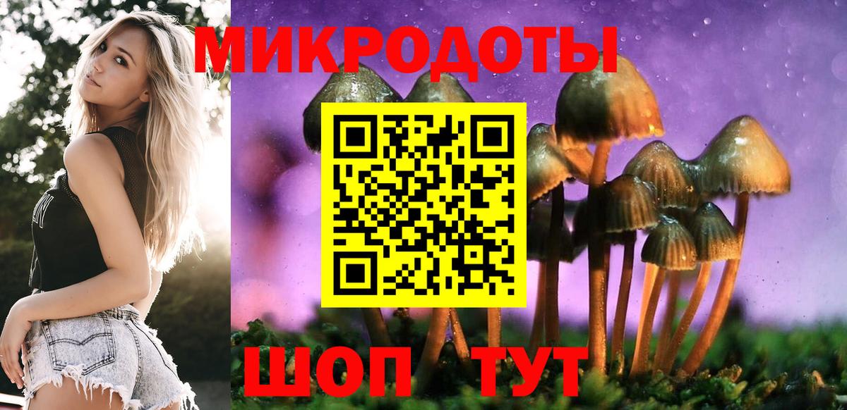 Псилоцибиновые грибы Magic Shrooms Фурманов