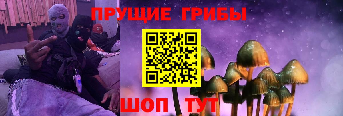 Фурманов  цена   Вход с VPN  Псилоцибиновые грибы Psilocybine cubensis  Псилоцибиновые грибы мицелий 