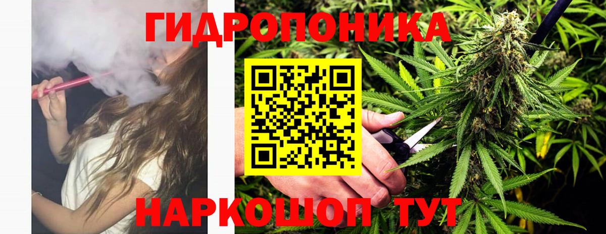 Конопля Ganja Фурманов